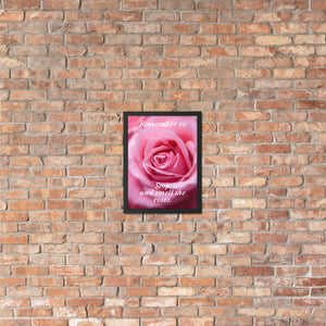 Stop and Smell the Roses Framed Print