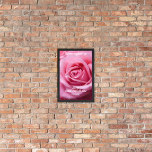 Stop and Smell the Roses Framed Print