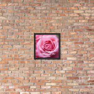 Stop and Smell the Roses Framed Print